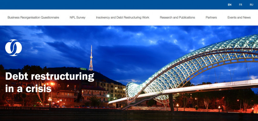 Business Reorganization Questionnaire photo №2 Business Reorganization Questionnaire photo